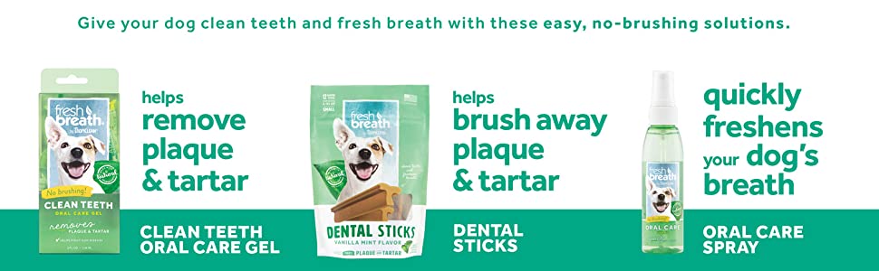 Give your dog clean teeth and fresh breath with these easy no-brushing solutions