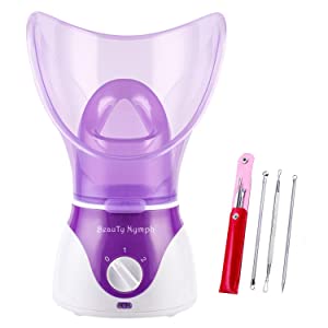 face steamer for women