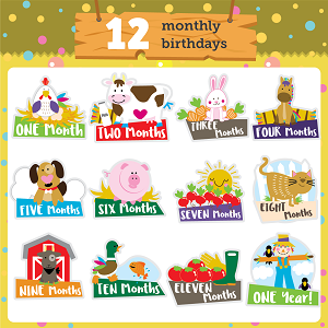 12 monthly stickers