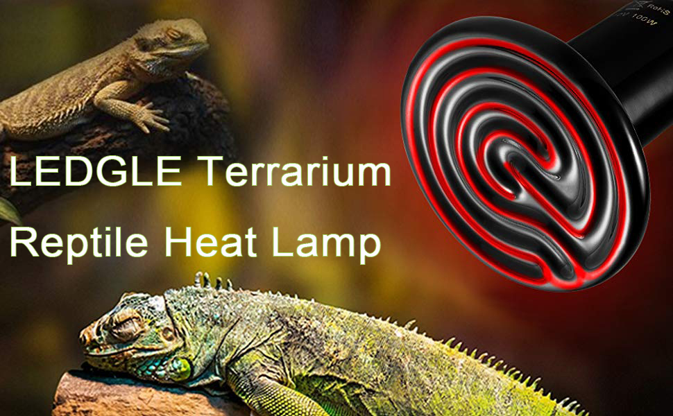 Terrarium Reptile Heat Lamp