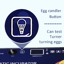 Triocottage incubator egg candler buttons