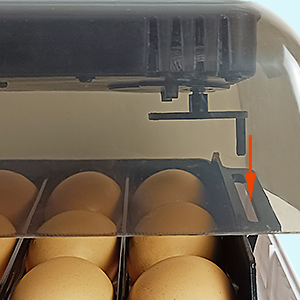 Automatic egg turning device for Triocottage egg incubator