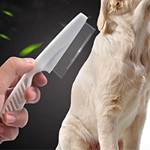 interactive dog toy