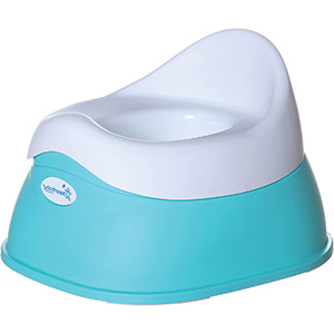 toilet training seat