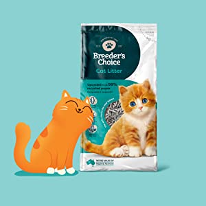 Ginger the cat leans against a Breeders Choice bag