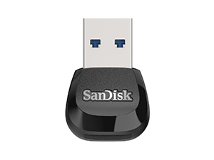 SanDisk Extreme MicroSD