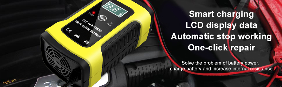 6A automotive battery charger