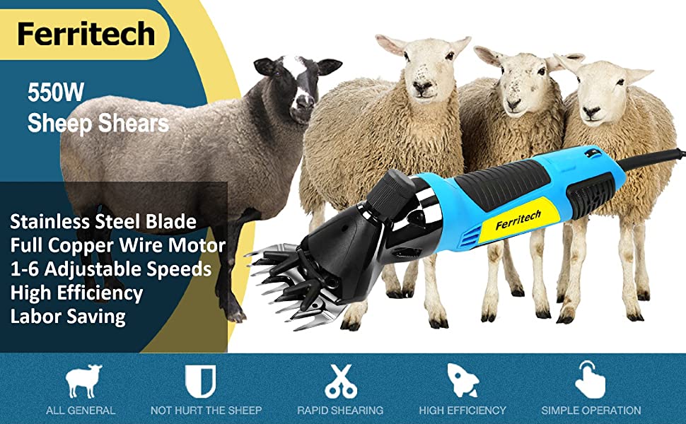 sheep shears