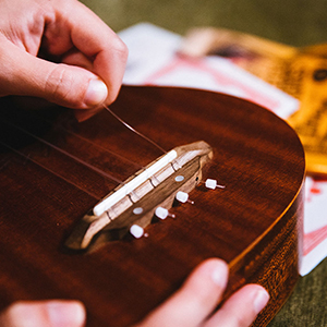 ukulele strings