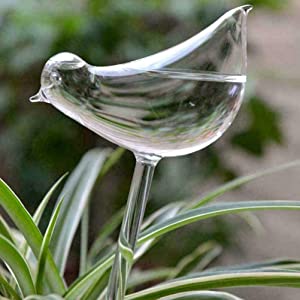 Bird Shape Design Hand Blown Transparent Durable Clear Glass Aqua Bulbs