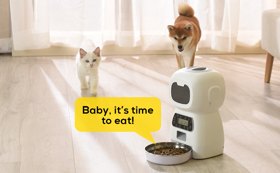 Automated Dry Food Dispenser