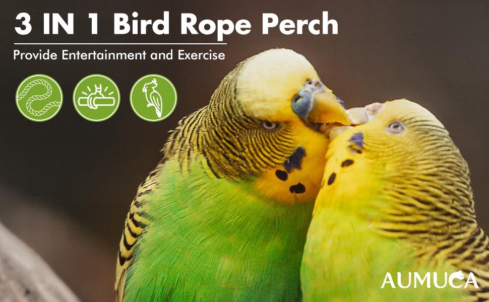 bird perch,bird toys