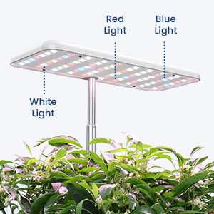 led growing light