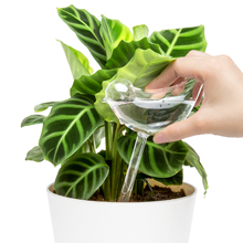 Hand Blown Clear Glass Plant Water Drippers Irrigation Devices for Indoor and Outdoor Plants