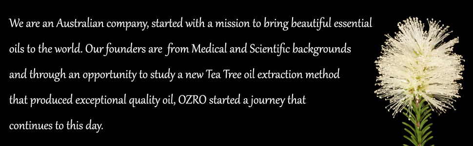 OZRO company introduction