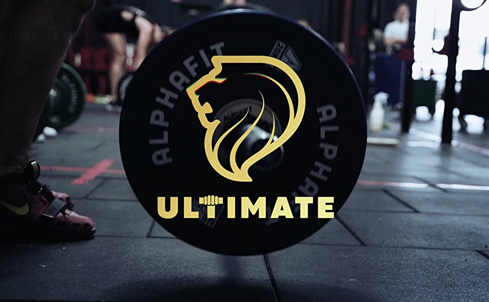 Ultimate Sports Calisthenics CrossFits Rock climbing Bouldering Gym Bodyweight