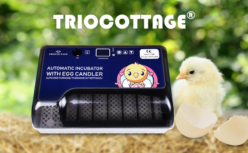 Triocottage incubators for hatching eggs 3 chicks hatched