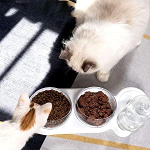 Cat Food Water Bowl,Automatic Gravity Cat Food Water Dispenser