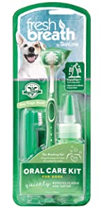 fresh breath oral care kit