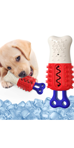 "Dog popsicle toy"