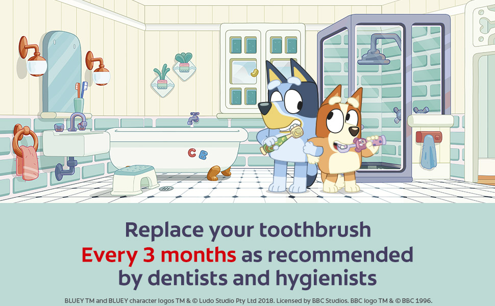 Main reasons to replace your toothbrush