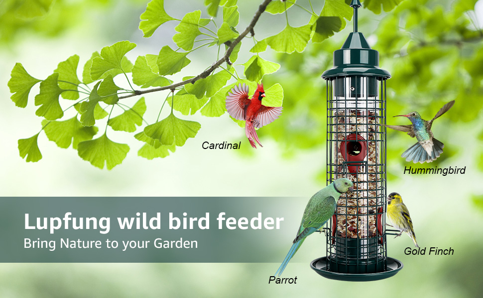 bird feeder