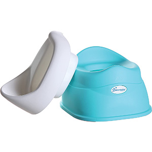 toddler potty seat for toilet