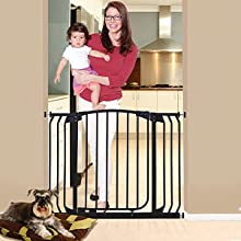 baby gate with pet door