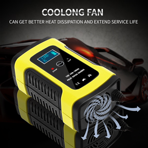 6A car battery charger
