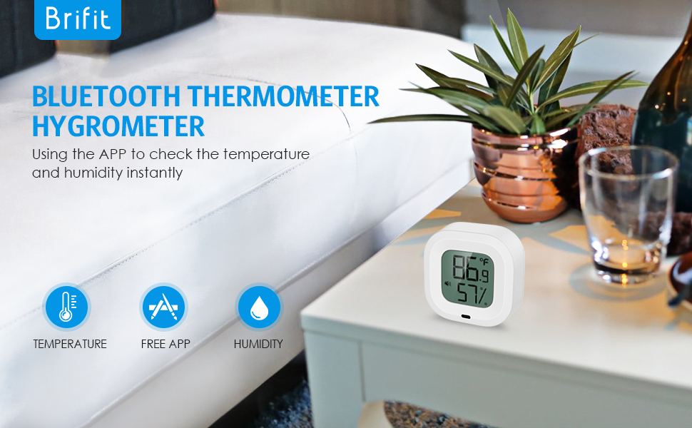 Wireless Thermometer Hygrometer