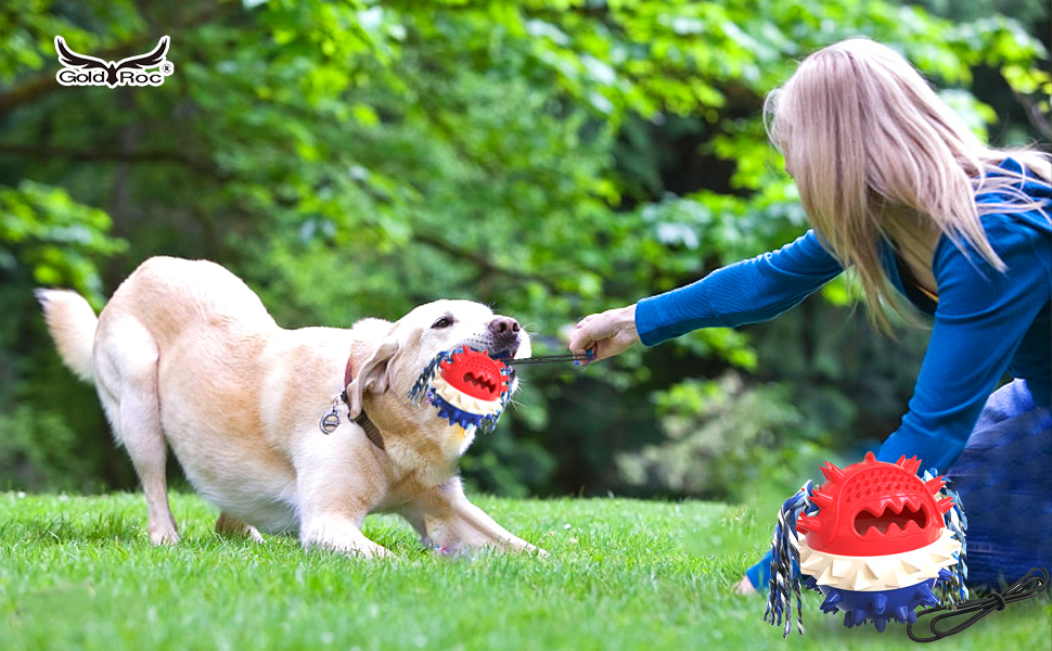 INTERACTIVE DOG TOY