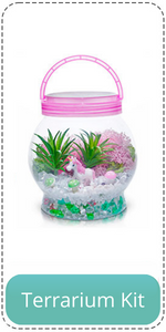 terrarium kit for kids girls