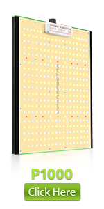 P1000 led grow light