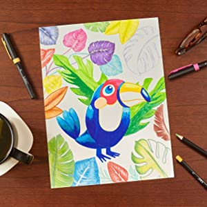 Adult Colouring Creative Art Picture of bird using BIC Intensity Pencils