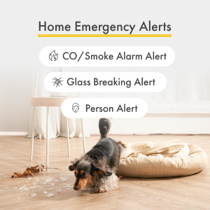 home emergency alert
