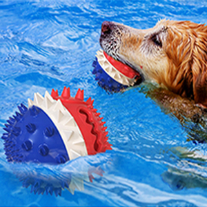 dog water toy