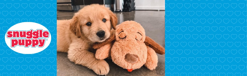 Snuggle Puppy Biscuit with Cute Dog Header Lifestyle
