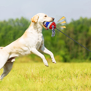 SQUEAKY TOY