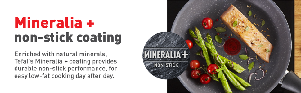 Mineralia+ non-stick coating - Section 2