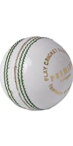 Cricnix Premier White Leather Cricket Ball 156 grams 5.5 oz 4 piece