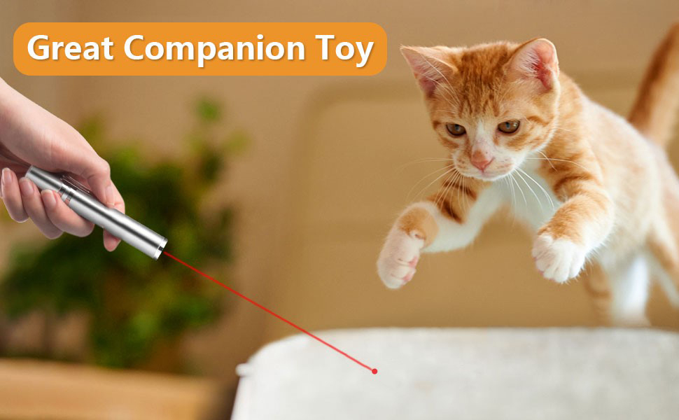 cat dog pets laser toys interactive play presentation training pointer chaser exercise tool LED 