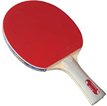 ping pong paddle, table tennis racket