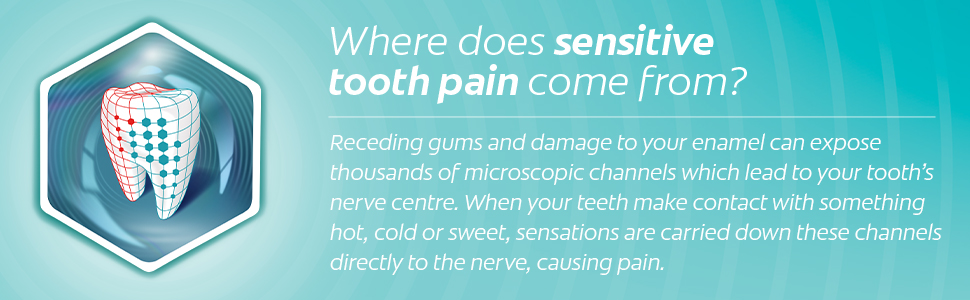Where does sensitive tooth pain come from?