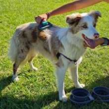MonPtit Slicker Brush use case outdoors accessory dog