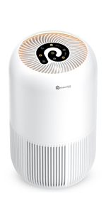 Dreamegg Air Purifier