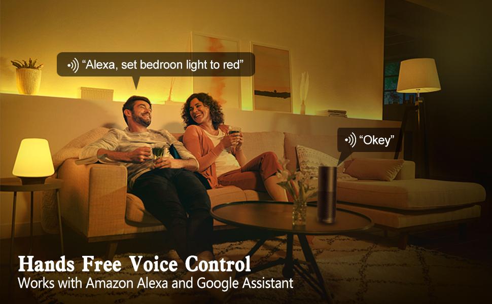 Smart Bulb voice control