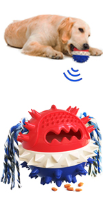 Dog ball toy