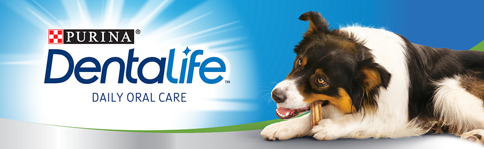 NESTLE Purina Dentalife dog treat oral care