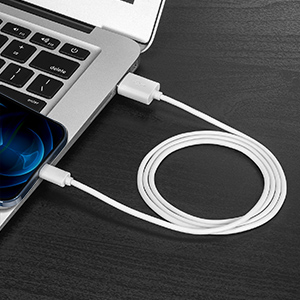 2-in-1 Charge and Sync iPhone Cable