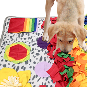 dog enrichment toys